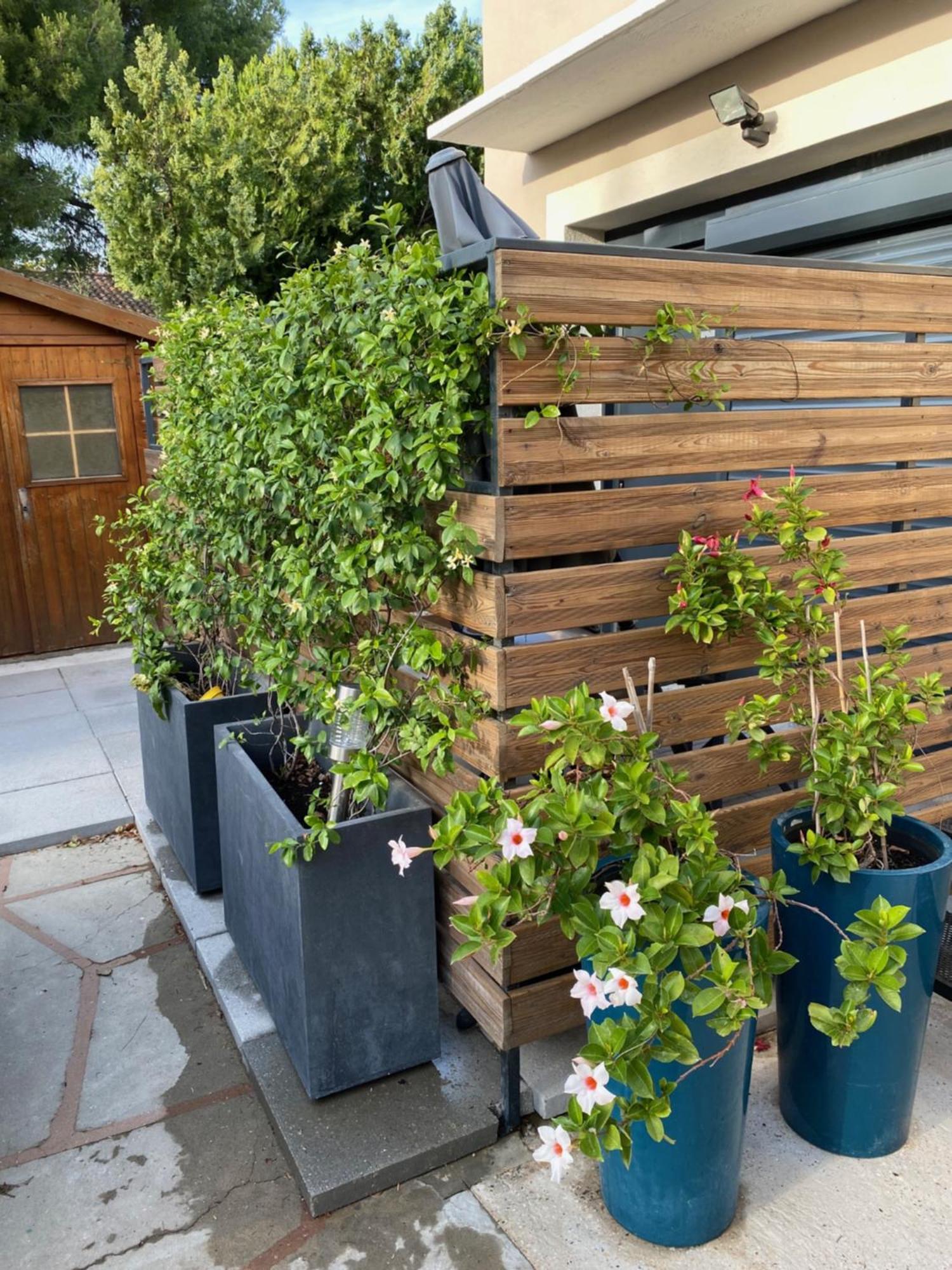 Superbe Appartement, A Proximite Du Centre D'Arles Exterior foto